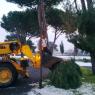 Intervento per spalatura neve , spargimento sale e potatura alberi nel quartiere e plesso scolastico sabato e domenica 11/12 febbraio 2012